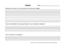 Arbeitsblatt-Nilgänse-2.pdf